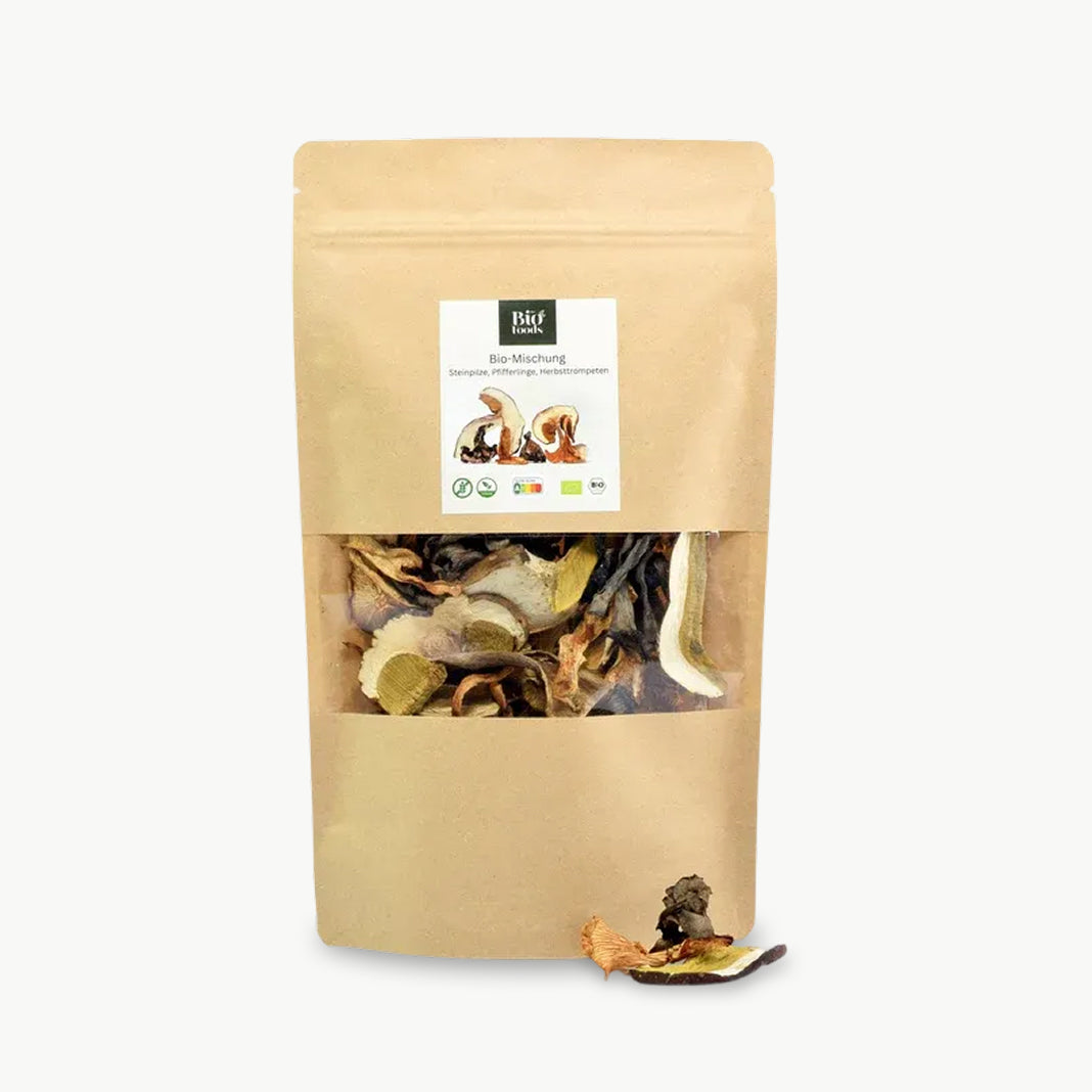 Organic dried mushroom mix in eco-friendly pouch
