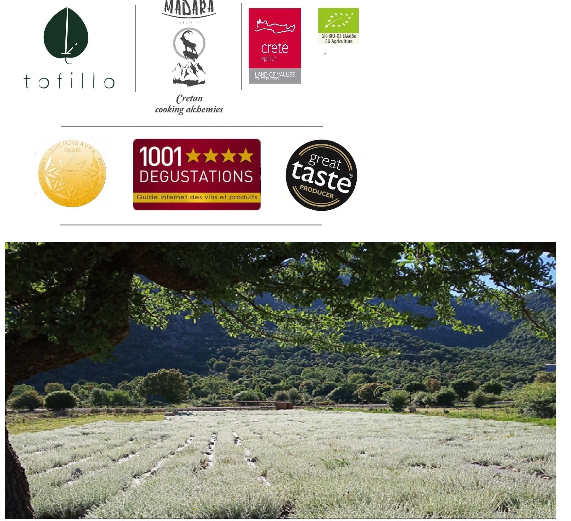 Organic Dittany tea from Crete | Premium Herbal Tea | Certified Organic Food at The Bio Foods Berlin