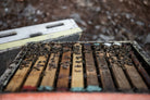 Organic Heather Honey | Heather honey from Creta | The Bio Foods | Creatan products |