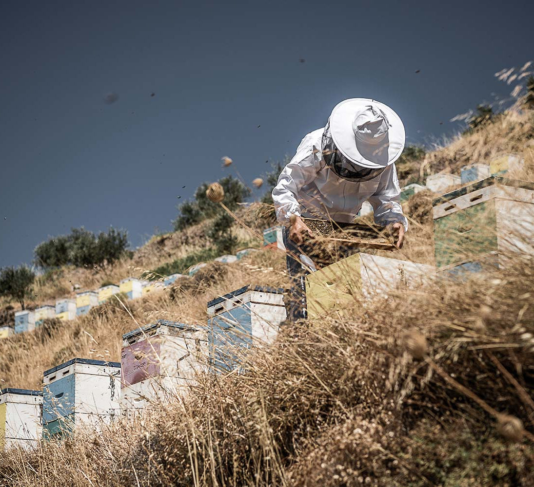 Organic Heather Honey | Heather honey from Creta | The Bio Foods | Creatan products