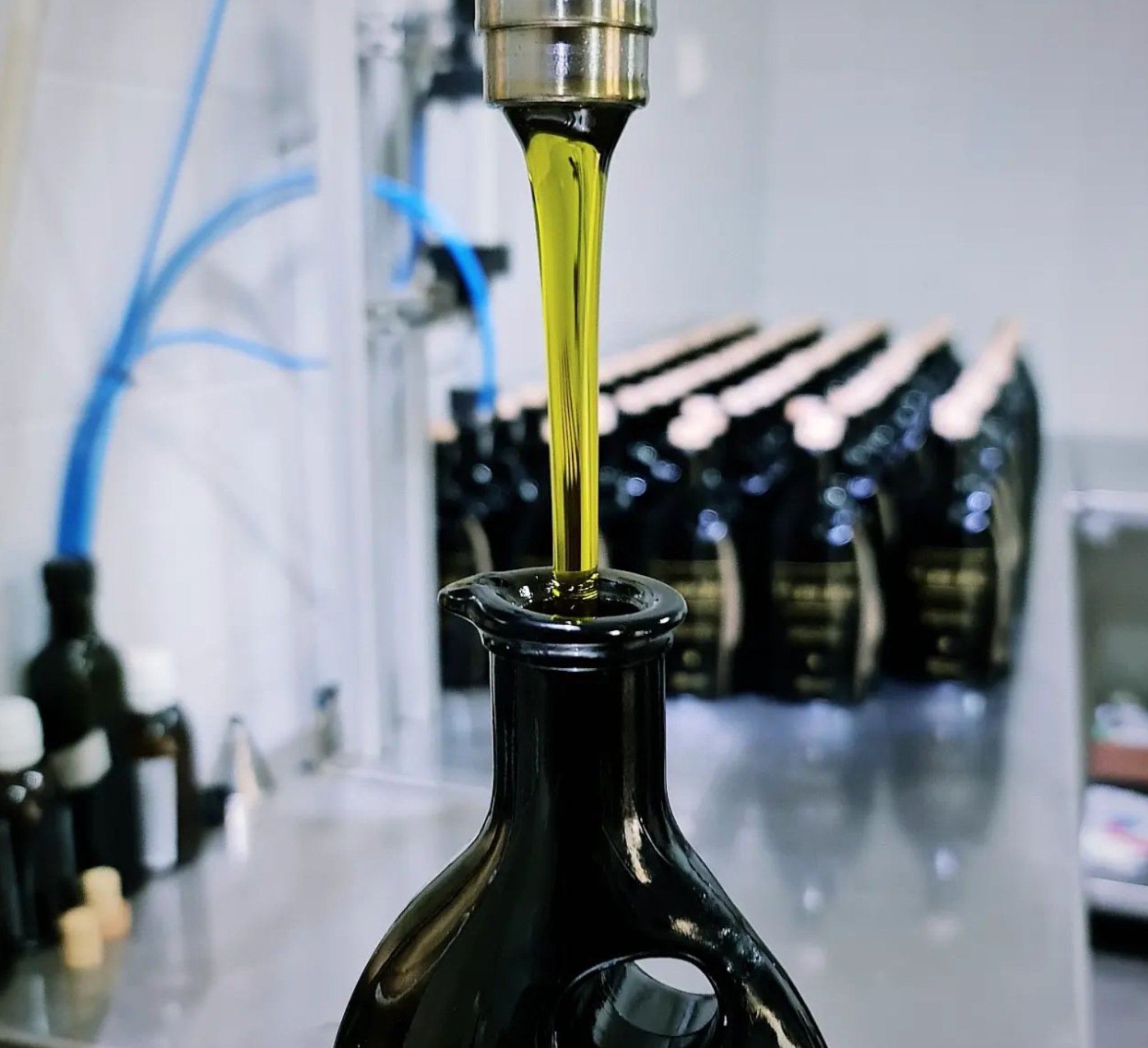 Organic EVOO test winner | Best Olive Oil 2024 | Pamako Monovarietal Olive Oil | The Bio Foods