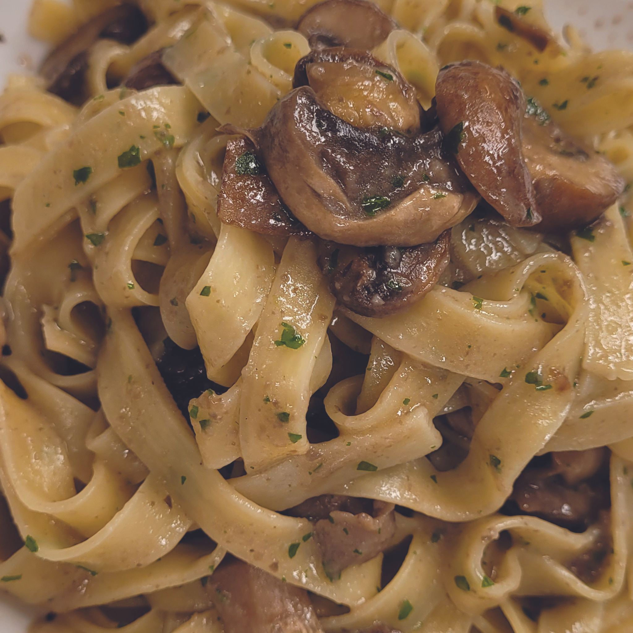Bio-getrocknete wilde Steinpilze mit Fettuccine und Gewürzen. Idee zur Zubereitung und zum Kochen der Pilze.
