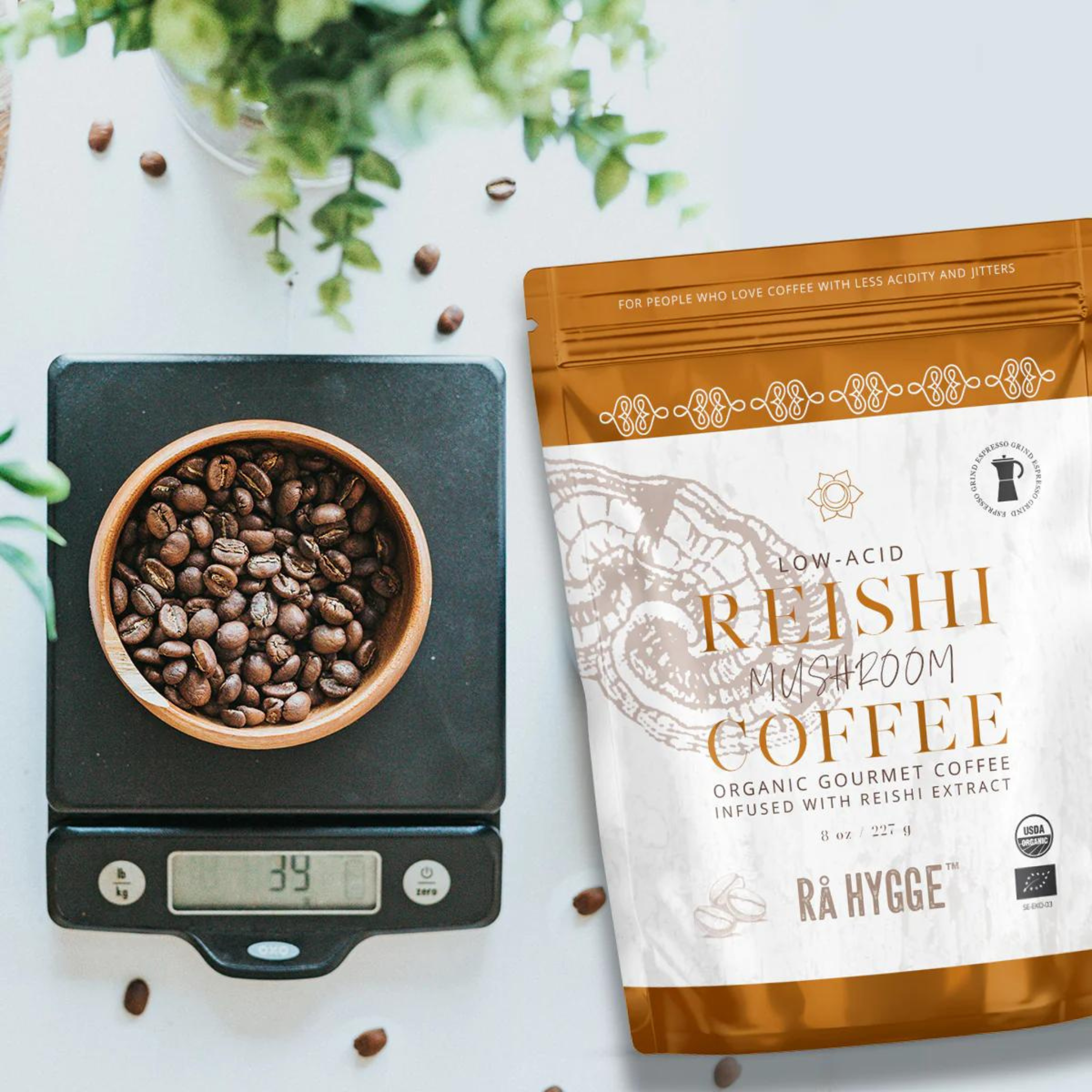 Reishi Espresso Mushroom Coffee | The Bio Foods | Gourmet products online | Bio-Espresso Gemahlen Mit Reishi-Pilzen| Pilzkaffee