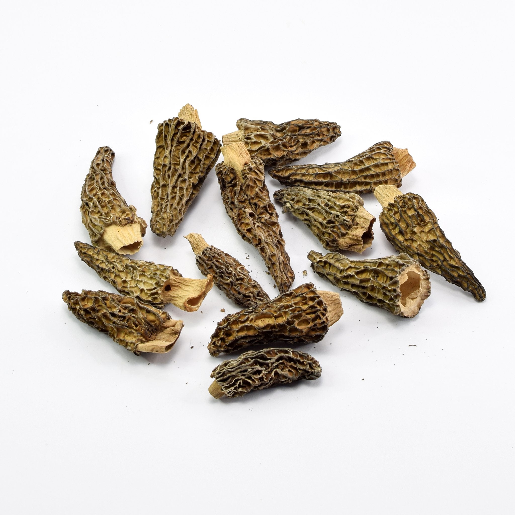 Organic Dried Morels - The Bio Foods